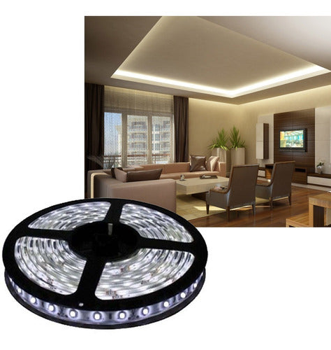 CINTA LED - 5 mts.- 12V - LUZ FRÍA